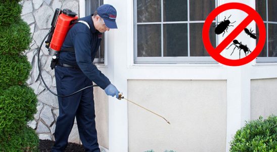 Afşin Akrep İlaçlama böcek ilaçlama ve haşere kontrolü — ilaclama-tr.com